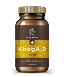 Myrobalan khoga.9 gyomorégés, reflux elleni gyógynövény-komplex vegán kapszula 60 db